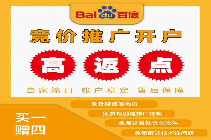 SEM竞价代运营公司案例实战指南